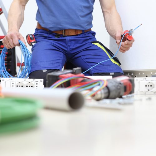 shutterstock_1449857630